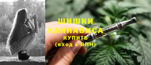 сатива Березники