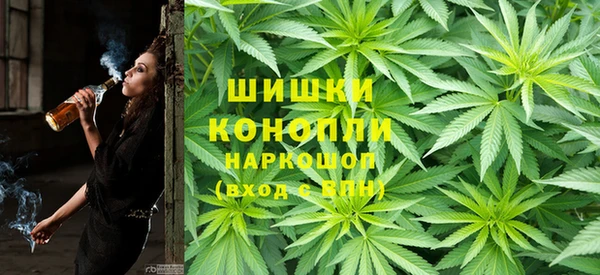 трава Медвежьегорск