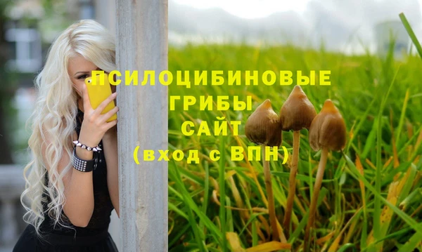 гидра Медногорск