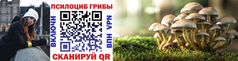 Псилоцибиновые грибы мухоморы  Шимановск 